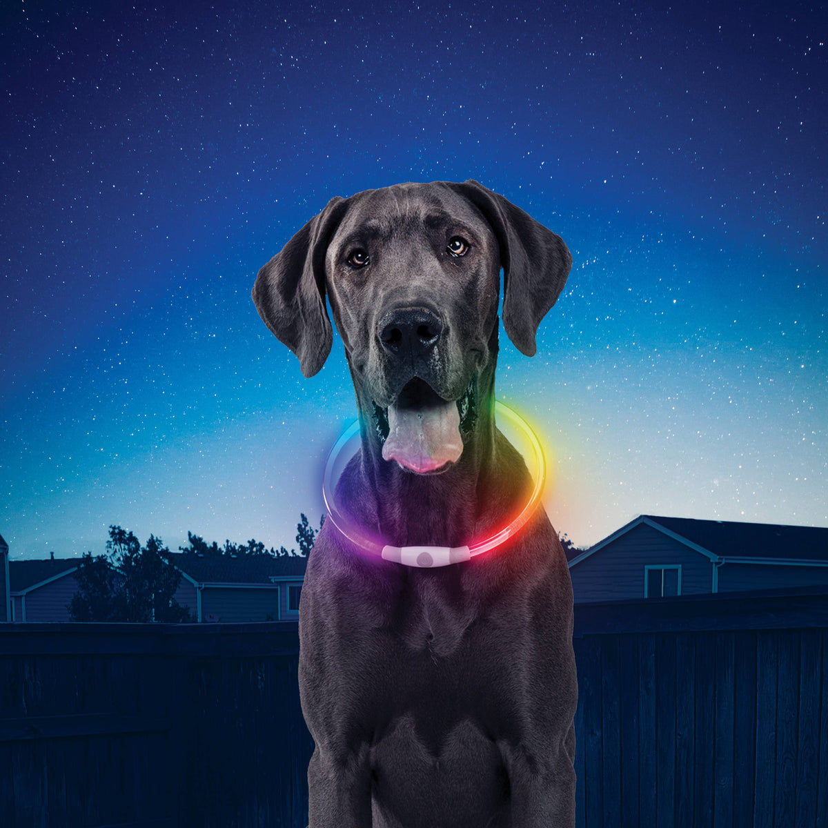 Nite Ize NiteHowl Rechargeable LED Safety Necklace-Disco