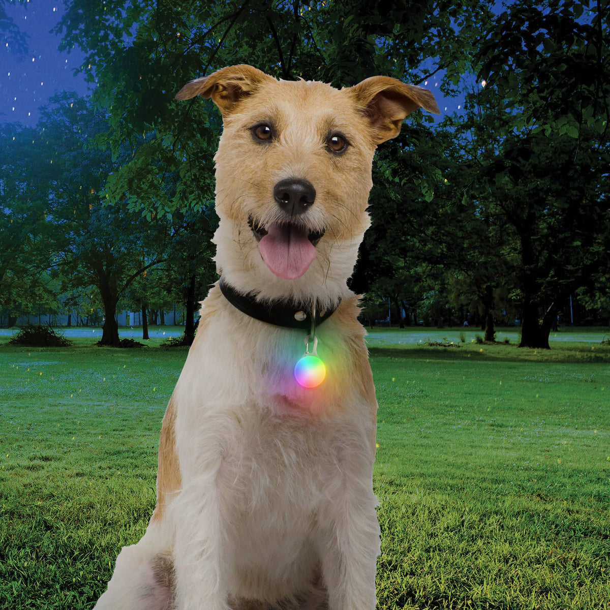 Nite Ize Spotlit Rechargeable Collar Light - Disc-O Tech