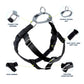 Black Freedom No-Pull Dog Harness with Leash