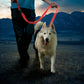 Nite Ize NiteDog® Rechargeable LED Leash - Red/Red LED