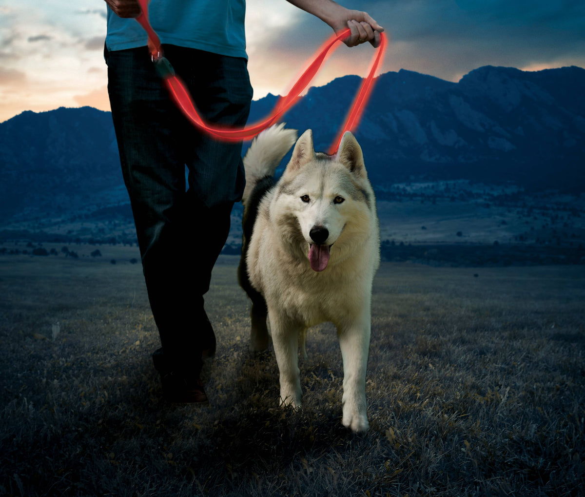 Nite Ize NiteDog® Rechargeable LED Leash - Red/Red LED