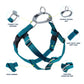 Teal Freedom No-Pull Dog Harness with Leash
