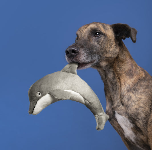 Fluff & Tuff Danny Dolphin